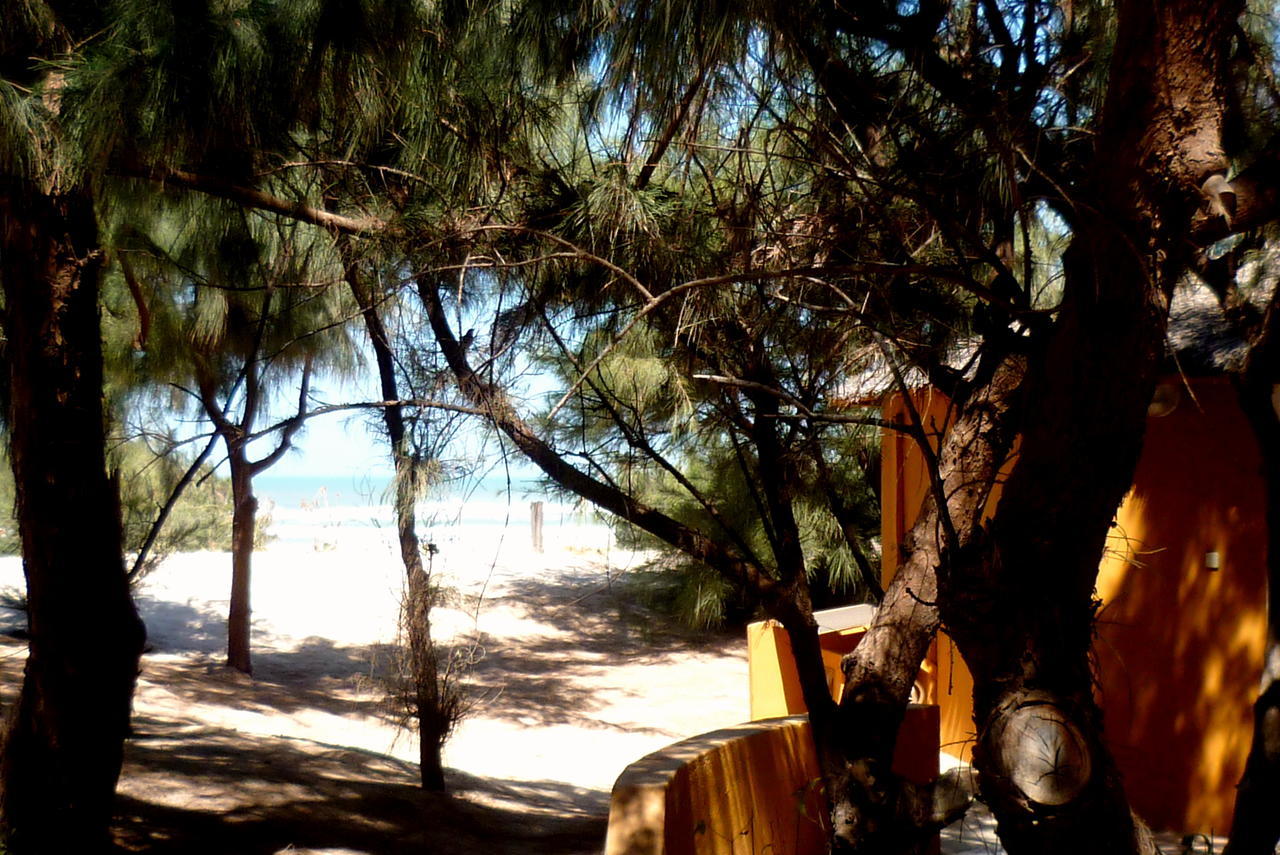 Diamarek Hotel Sur La Plage サンルイ エクステリア 写真