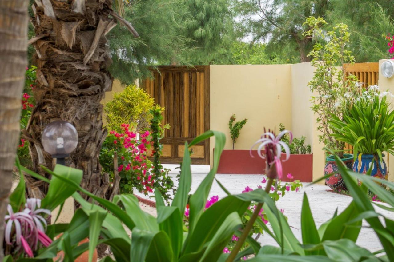 Diamarek Hotel Sur La Plage サンルイ エクステリア 写真